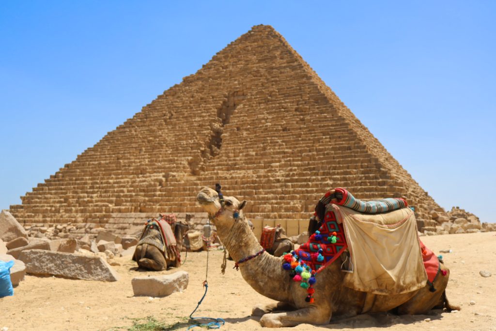 メンカウラー王のピラミッドとラクダ