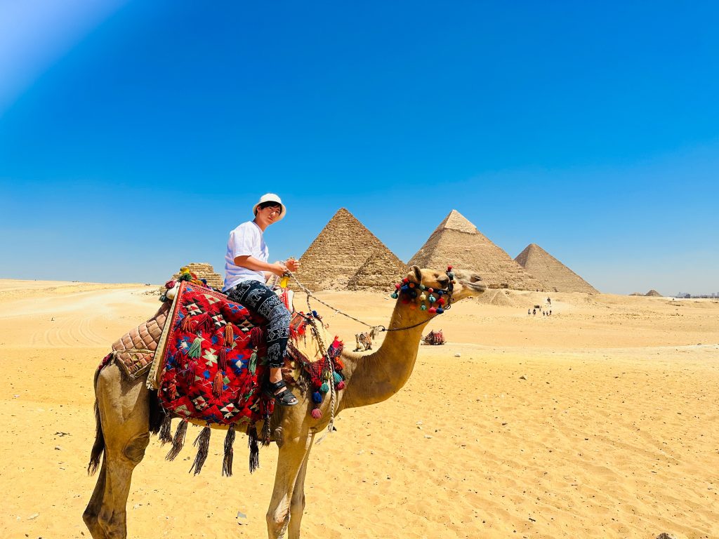ピラミッドとラクダ
