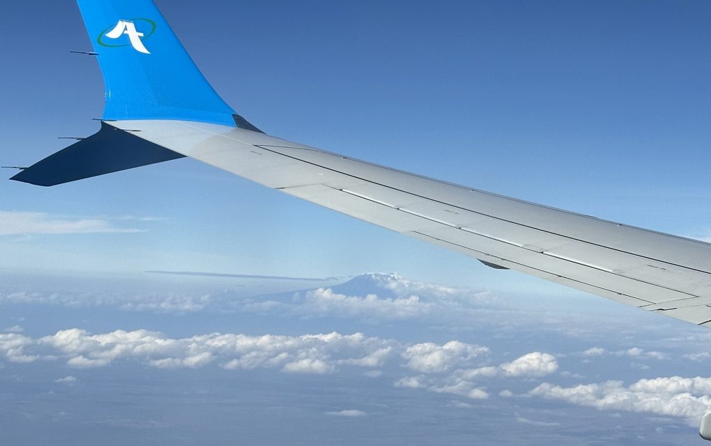 飛行機の翼と山